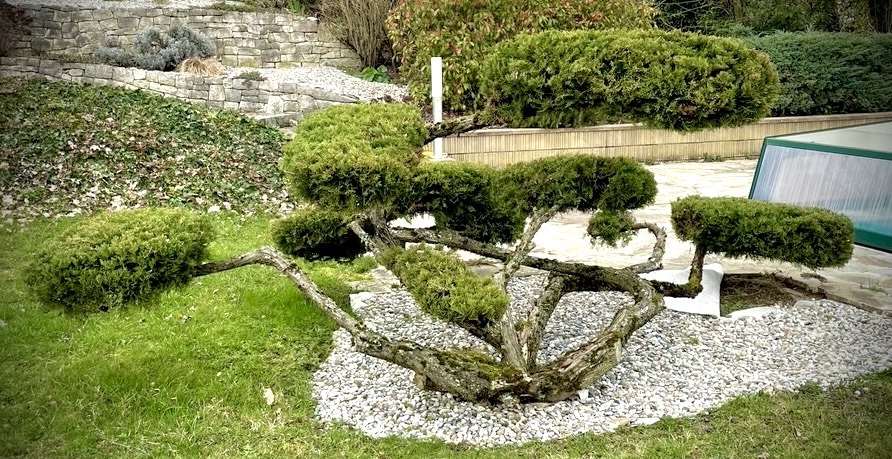 Services Jardinage sur mesure