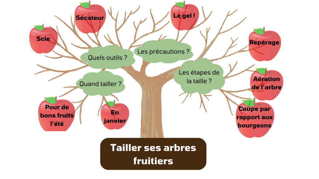 taille pommier, poirier, prunus, malus, pink lady 